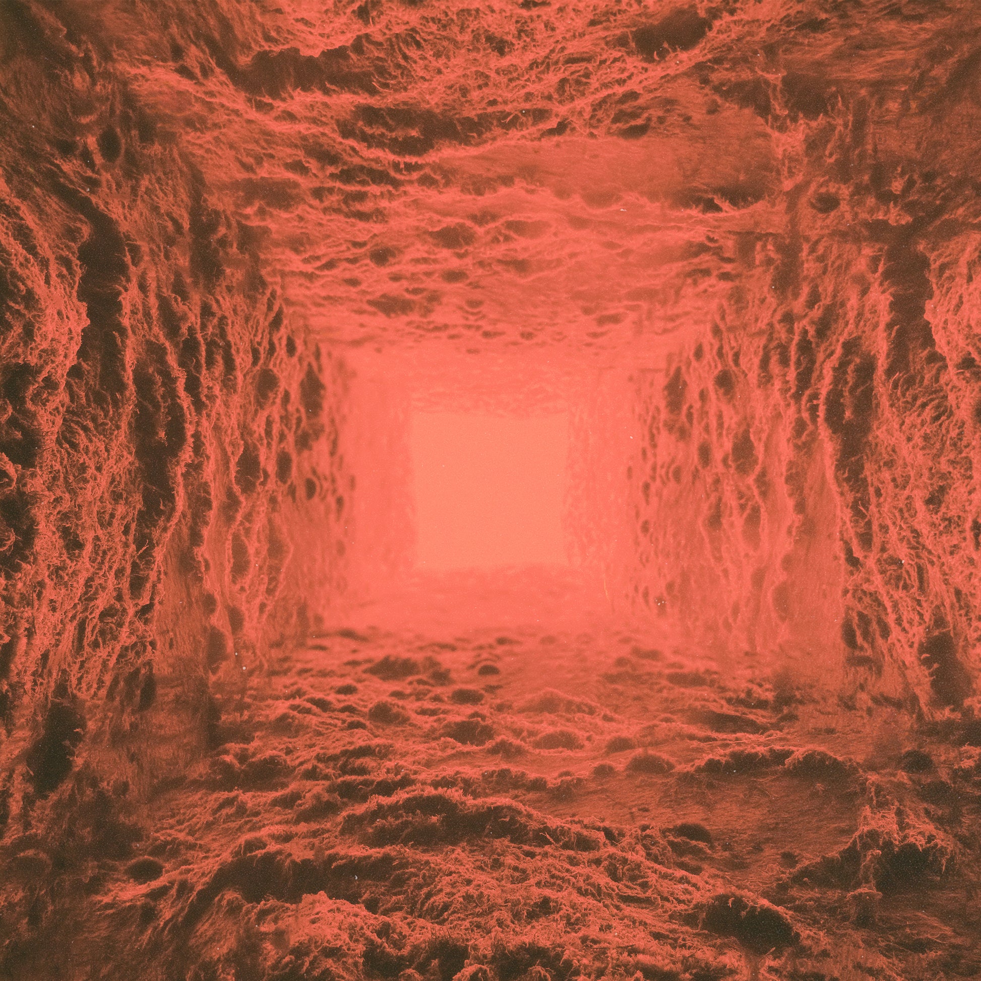 Haunted Plasma - I LP