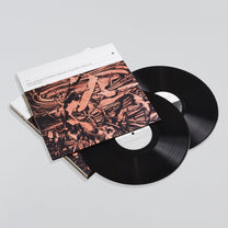 Oren Ambarchi &amp; Martin Ng feat. Ensemble Offspring – The Vanishing LP