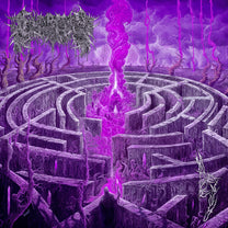 Civerous – Maze Envy LP