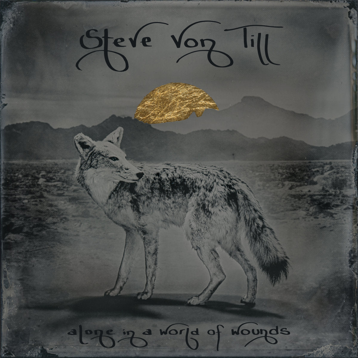 Steve Von Till – Alone In A World Of Wounds LP