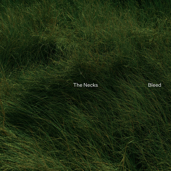 The Necks – Bleed LP