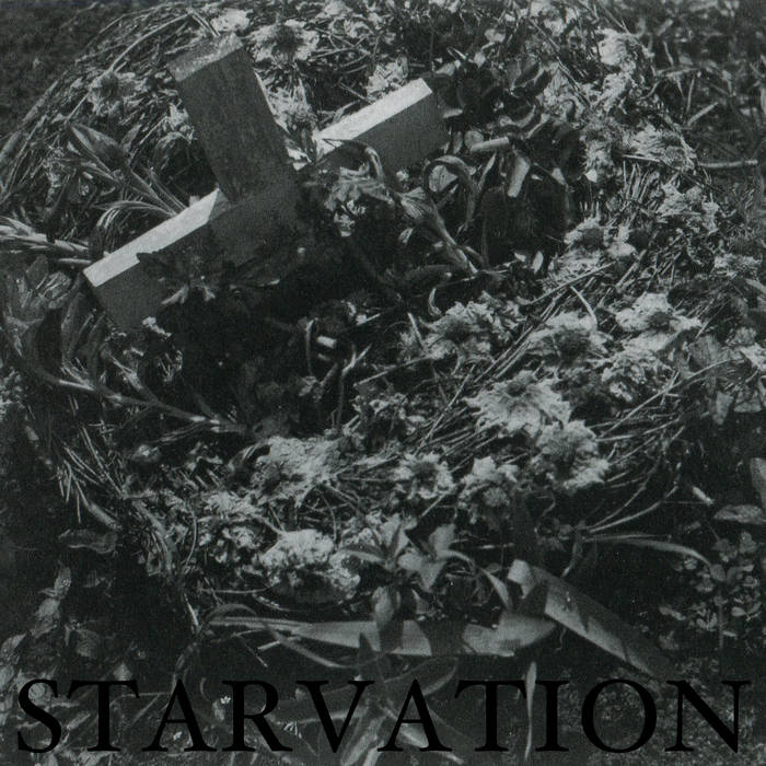 Starvation / Negative Reinforcement – Split 7&quot;