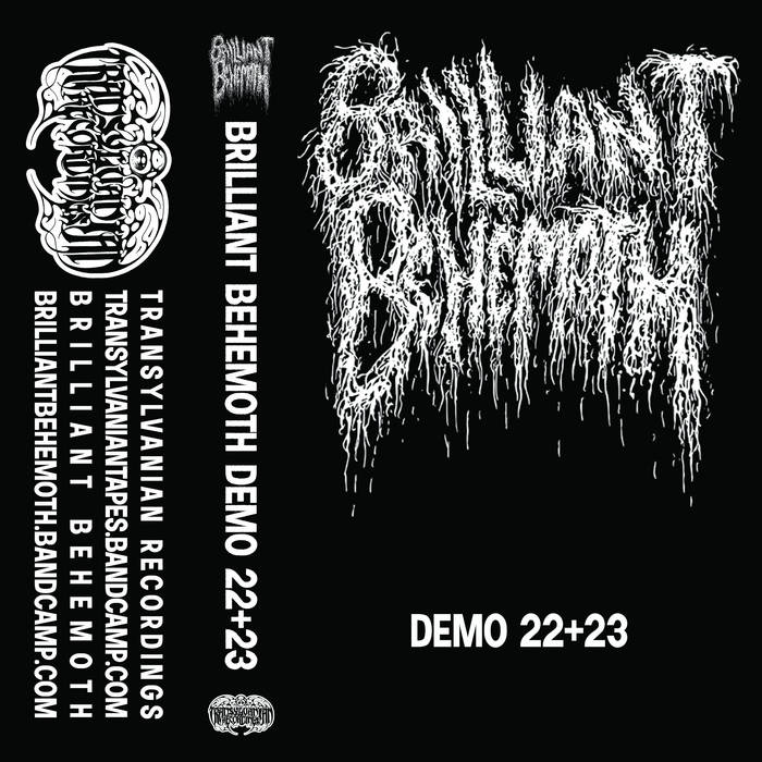 Brilliant Behemoth – Demo 22+23 MC