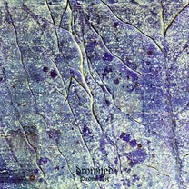 Drowned – Procul His LP