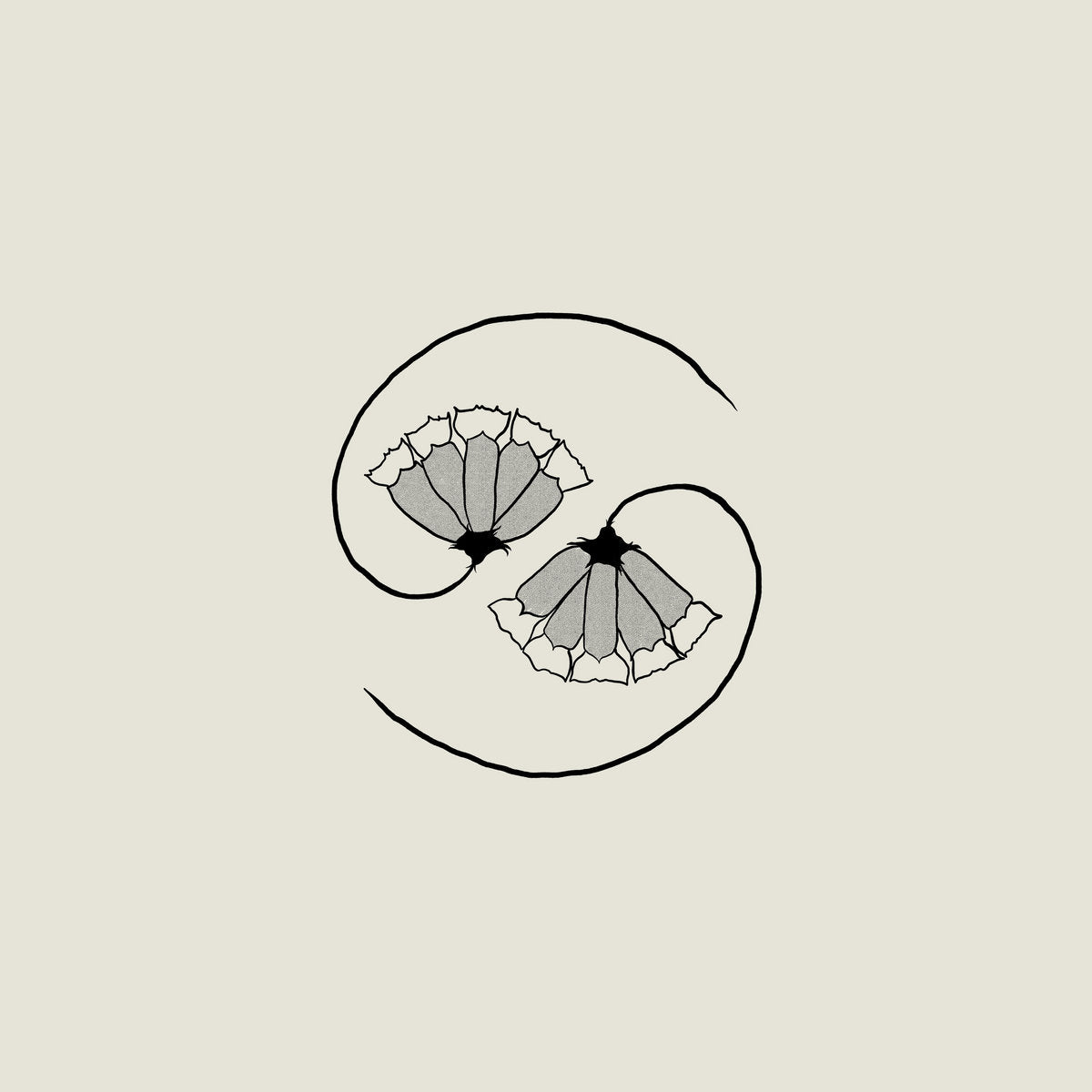 Godspeed You! Black Emperor – G_Ds Pee At States End! LP