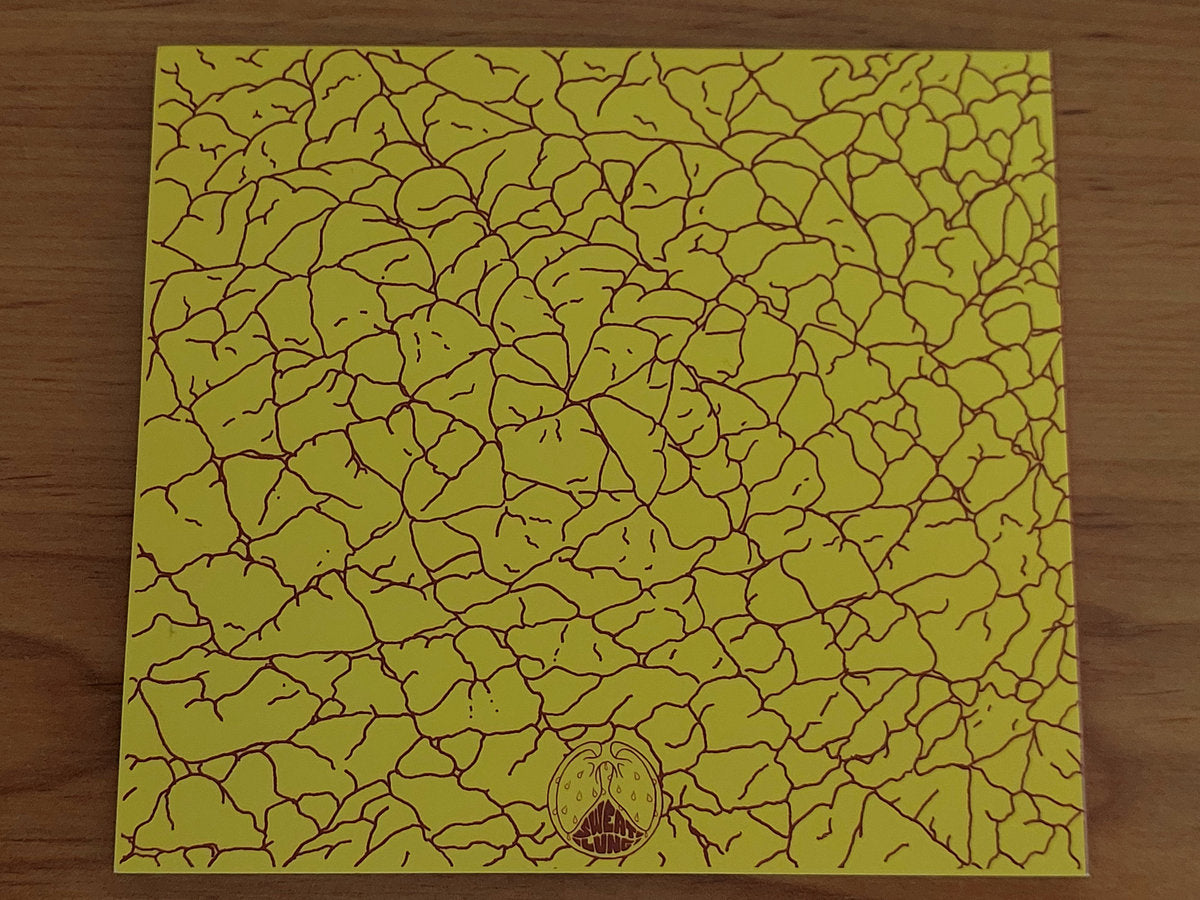 Brown Piss – New Flesh For Old Masters CD