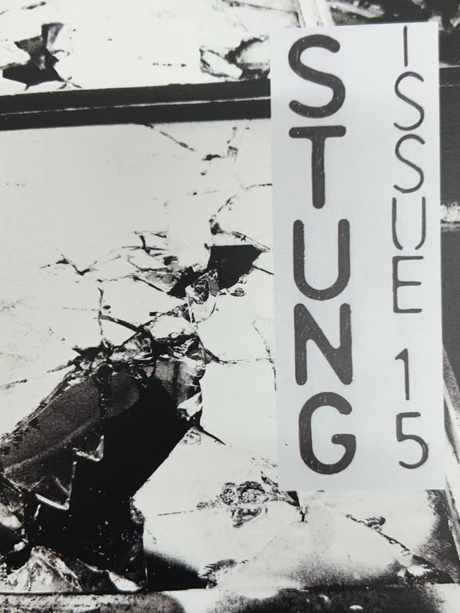 Stung, Issue #15 BK / Zine