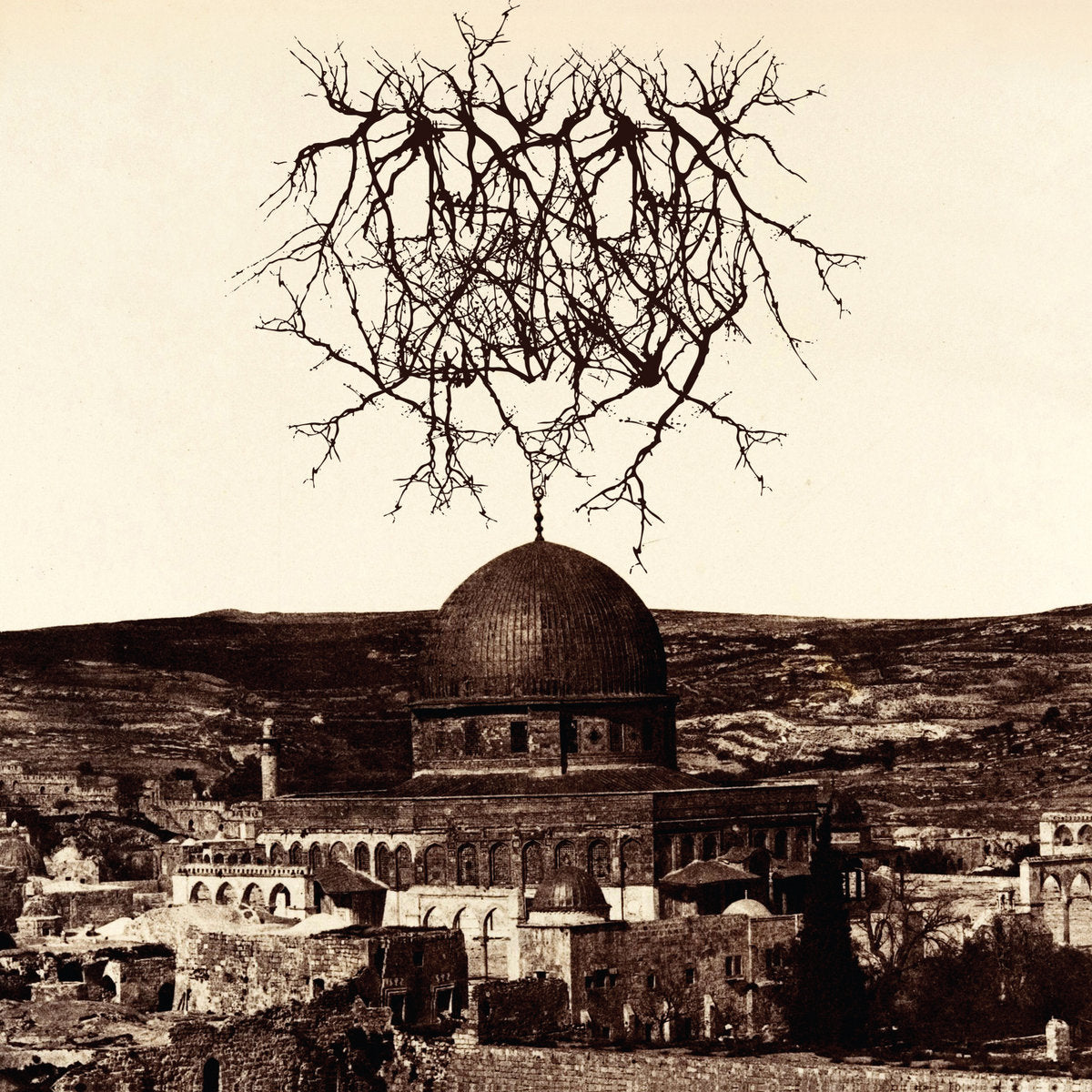 Entropy Created Consciousness – Impressions of the Morning Star LP