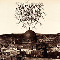 Entropy Created Consciousness – Impressions of the Morning Star LP