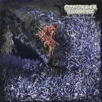 Of Feather And Bone – Sulfuric Disintegration LP