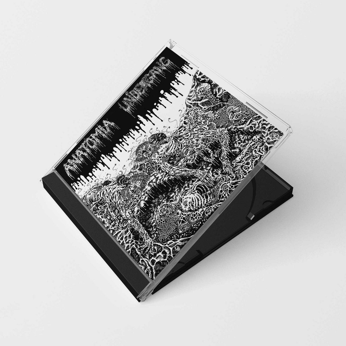 Anatomia / Undergang – S/T Split CD