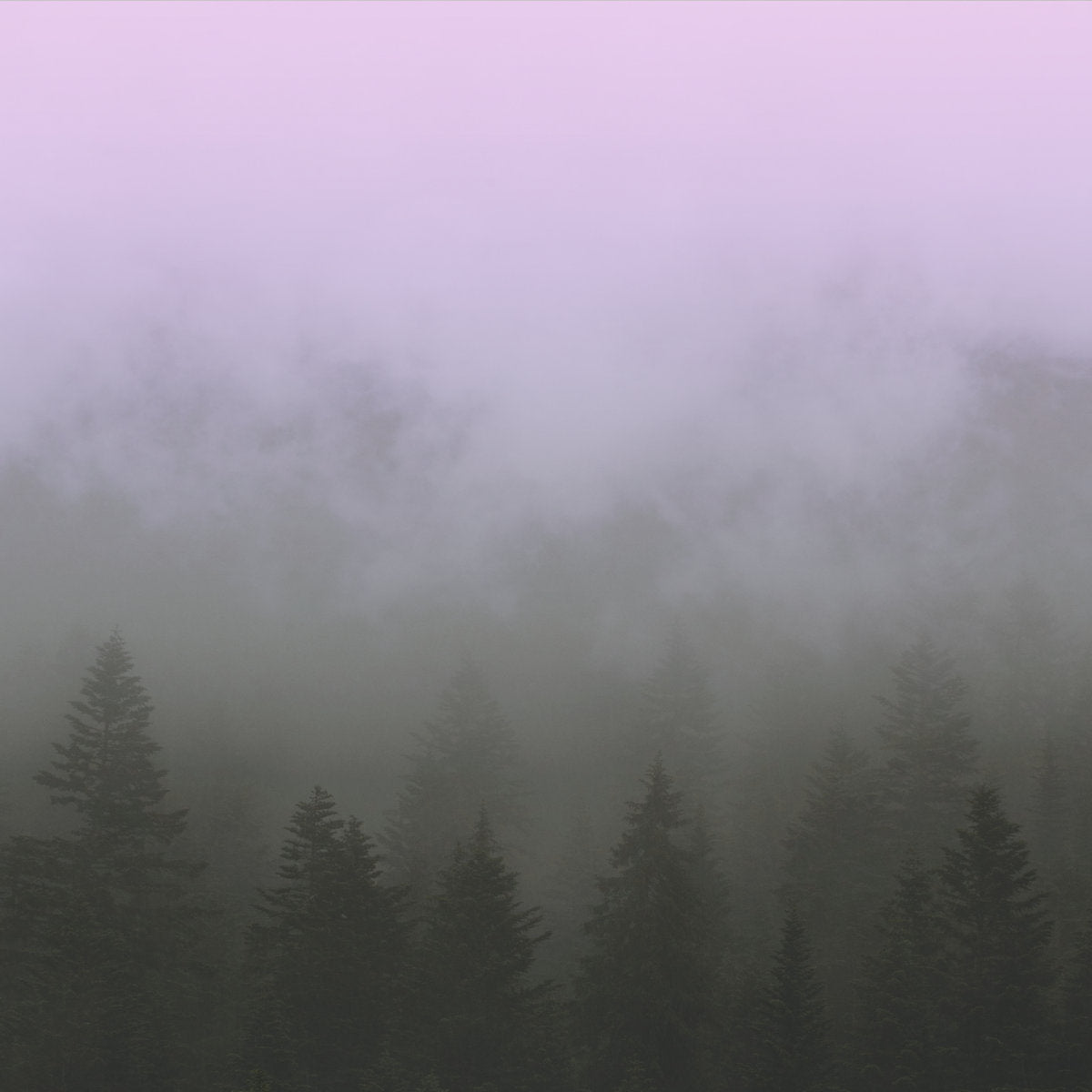 TVISB – Drone1 LP