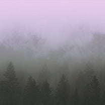TVISB – Drone1 LP