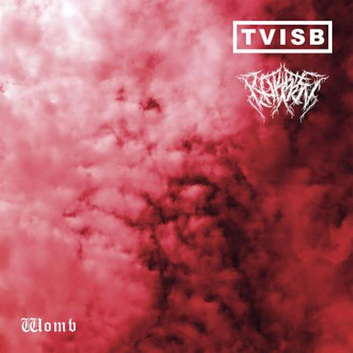 TVISB, Robbie Coburn – Womb MC / BK