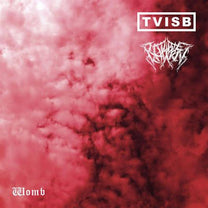 TVISB, Robbie Coburn – Womb MC / BK