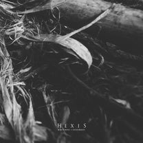 Hexis – Exstirpo / Exsorbeo 6&quot;