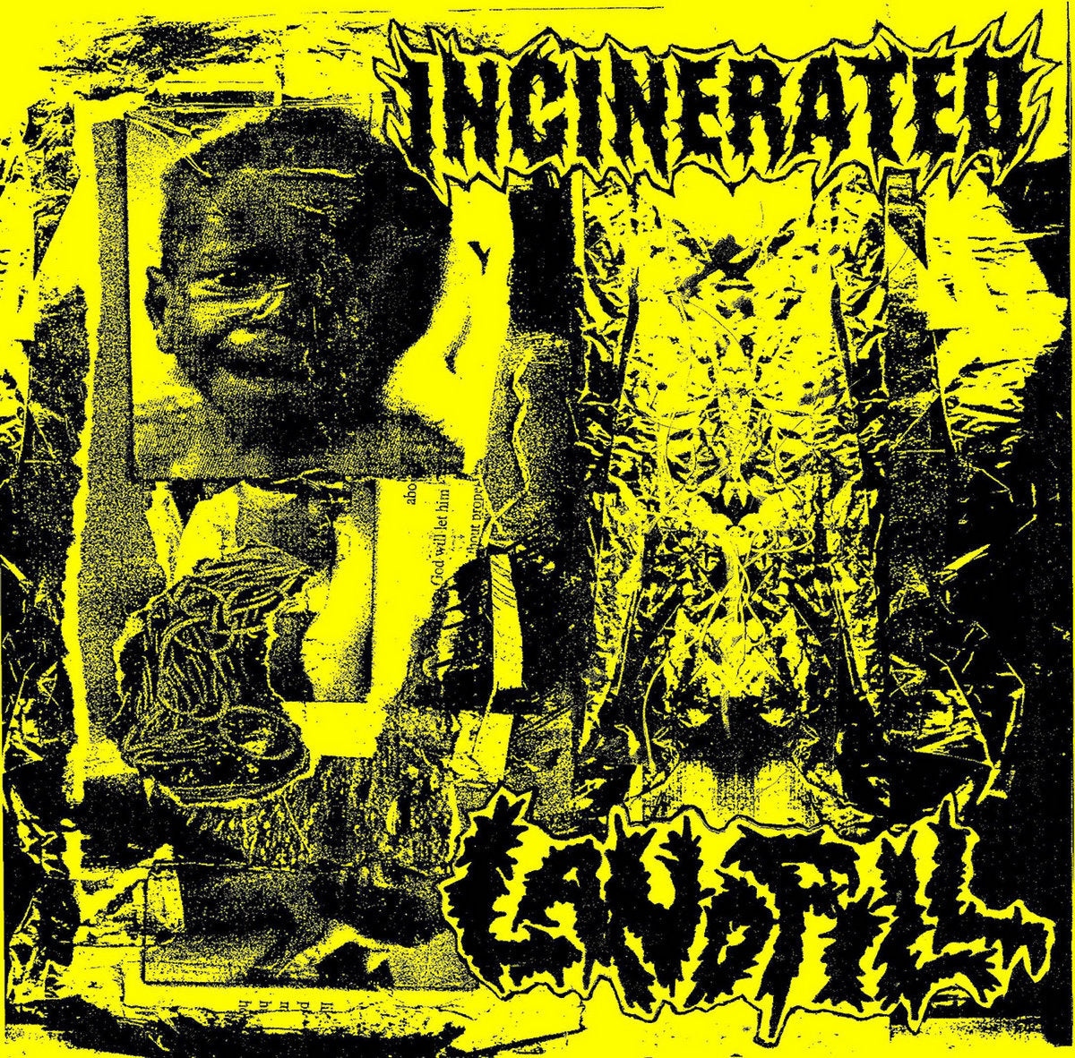 Incinerated / Landfill – S/T 7&quot;
