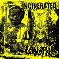 Incinerated / Landfill – S/T 7&quot;