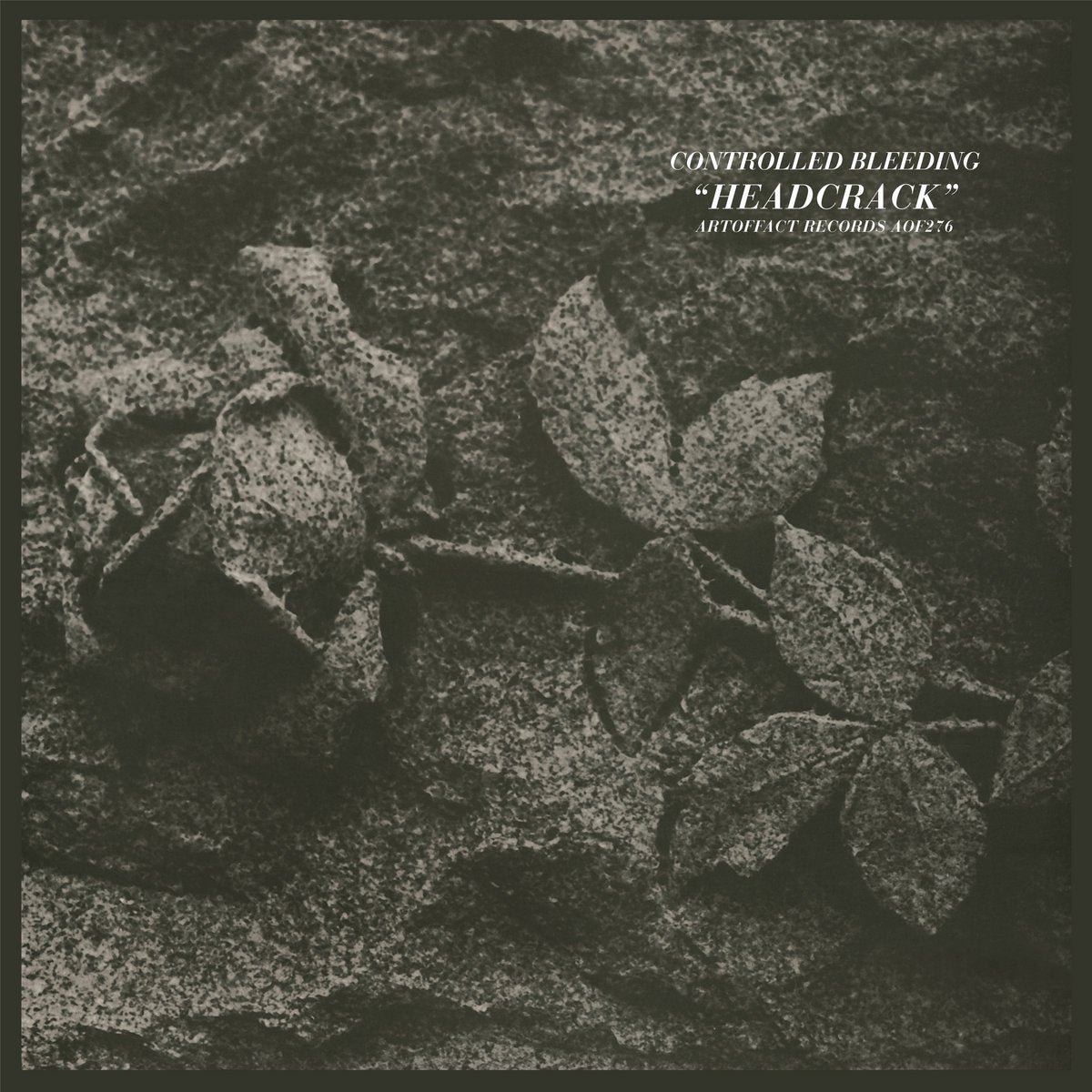Controlled Bleeding – Headcrack LP
