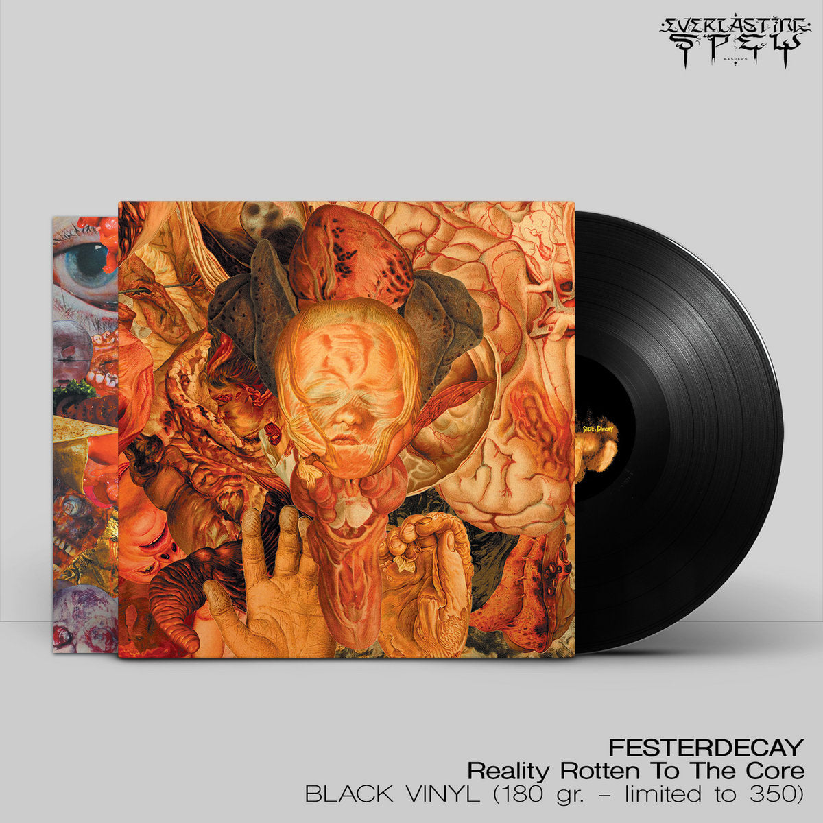 Festerdecay – Reality Rotten To The Core LP