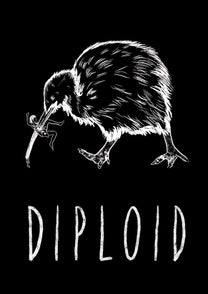 Diploid, &#39;Aotearoa Killer Kiwi&#39; T-Shirt