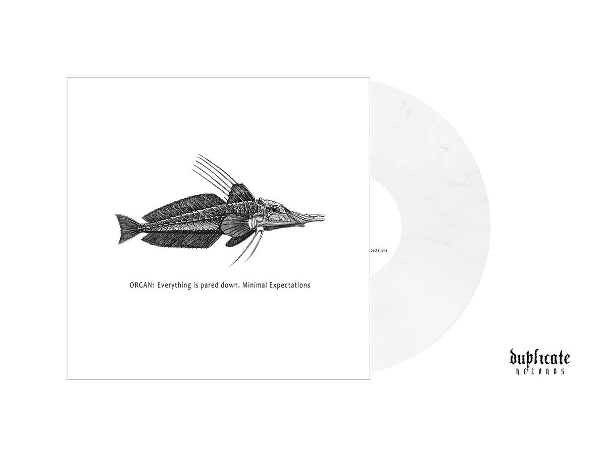 Organ: – Everything Is Pared Down. Minimal Expectations LP