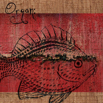 Organ: – S/T 7&quot;