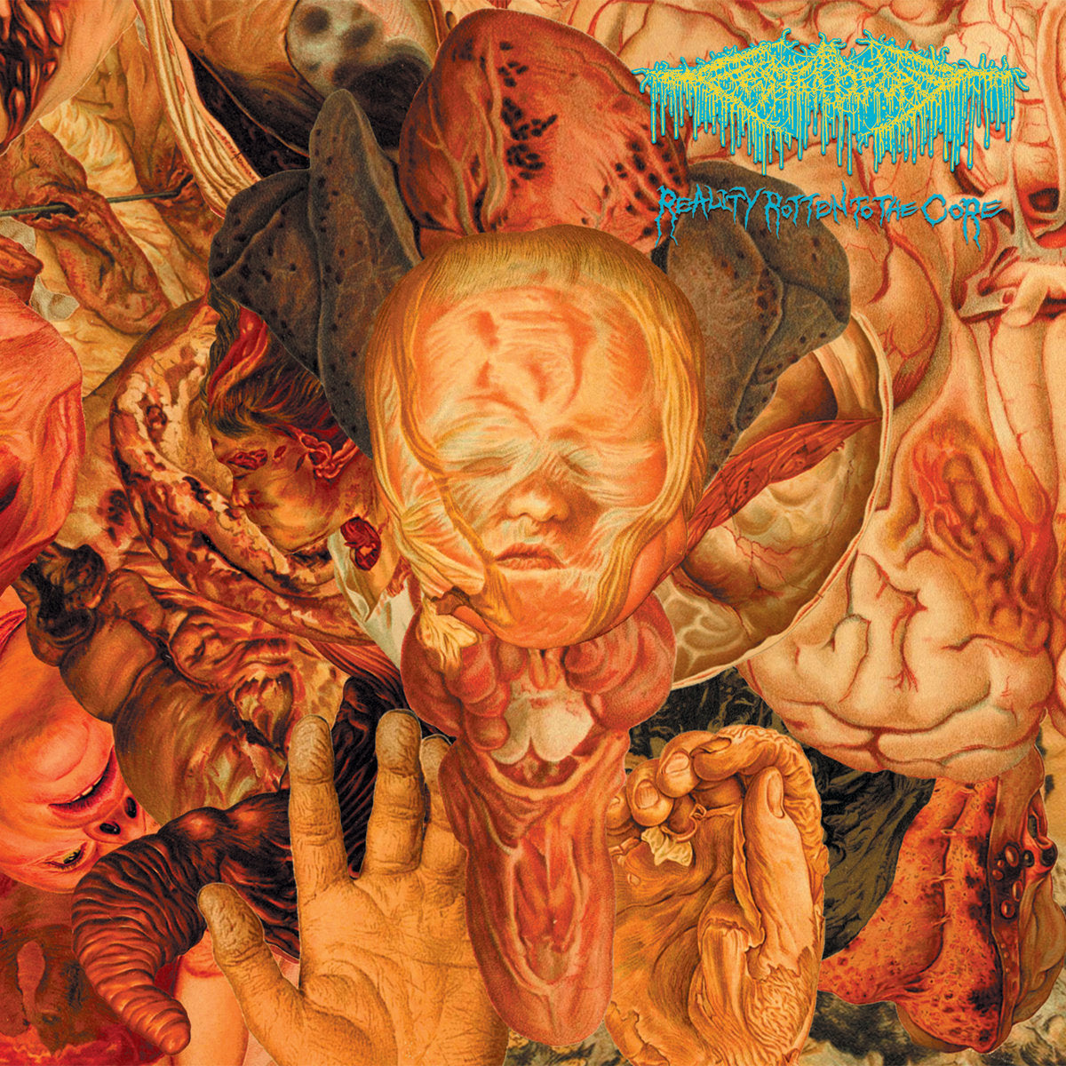 Festerdecay – Reality Rotten To The Core LP