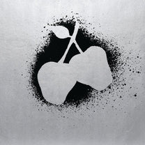 Silver Apples – S/T LP