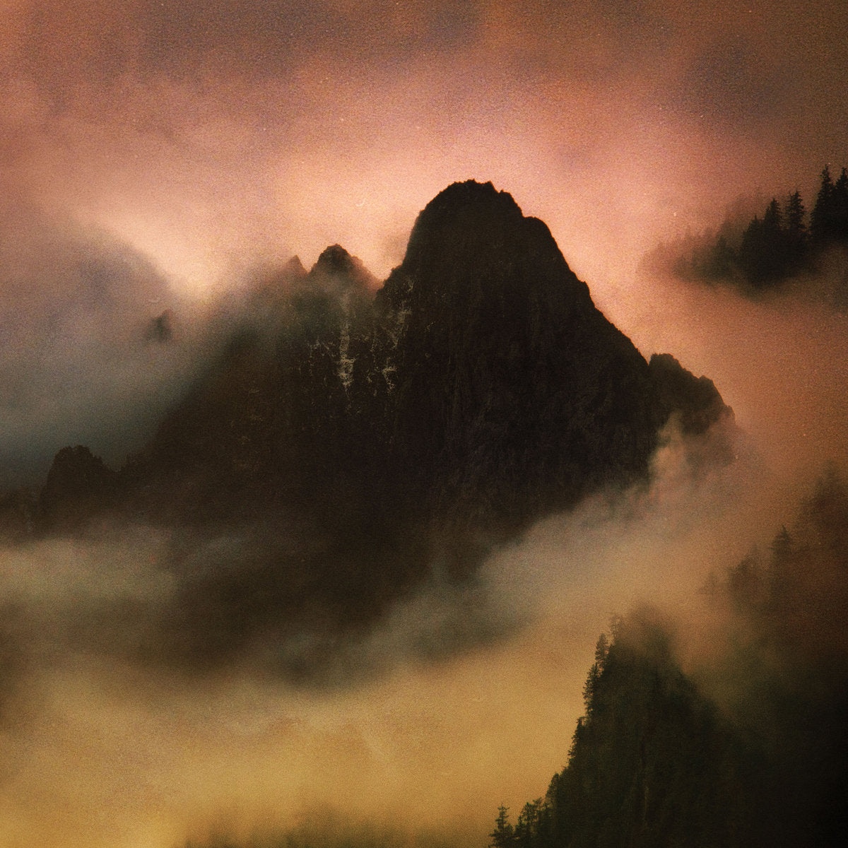 Dead To A Dying World – Elegy 2LP