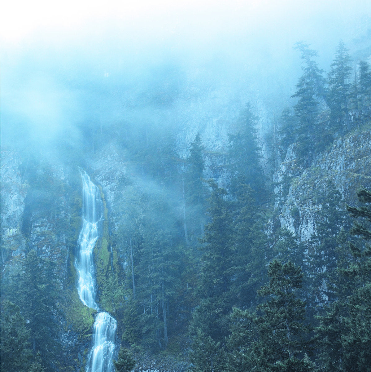 Wolves in the Throne Room – Diadem of 12 Stars 2LP