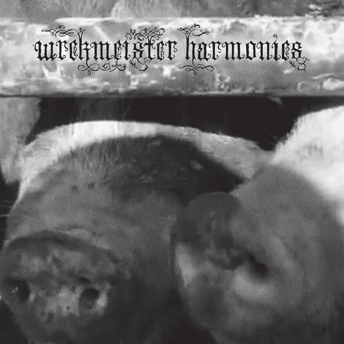 Wrekmeister Harmonies – Flowers In The Spring LP