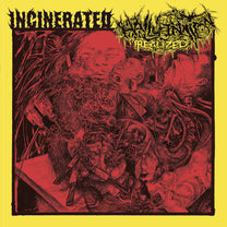 Incinerated / Hallucination Realized – S/T 7&quot;