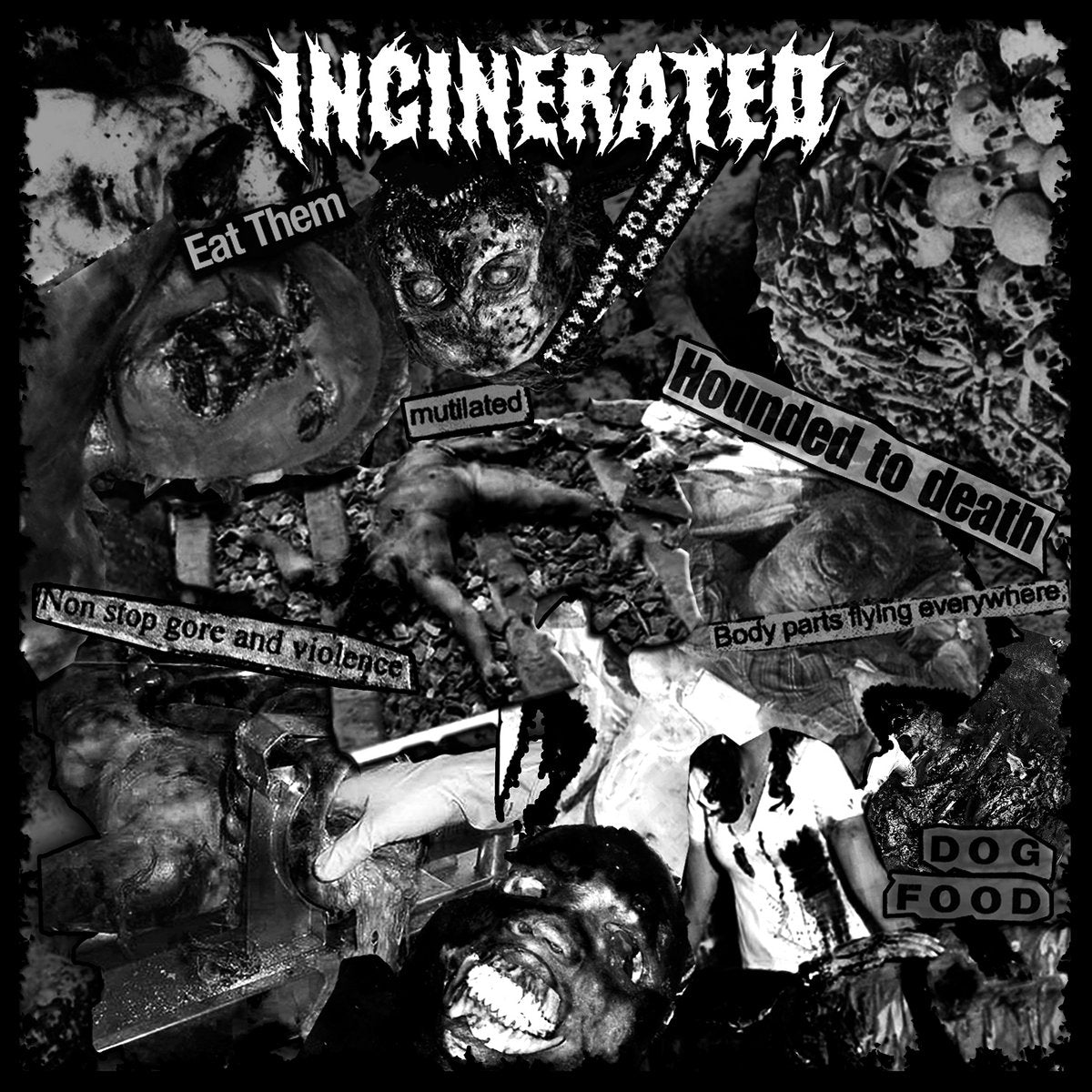 Incinerated / Deterioration – S/T 7&quot;