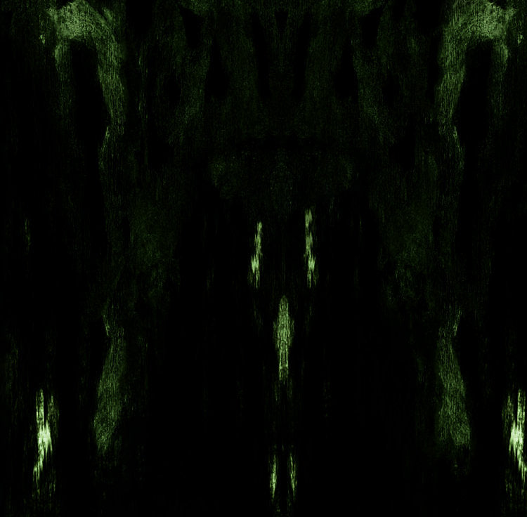 Impetuous Ritual – Unholy Congregation Of Hypocritical Ambivalence LP