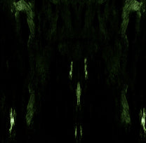 Impetuous Ritual – Unholy Congregation Of Hypocritical Ambivalence LP